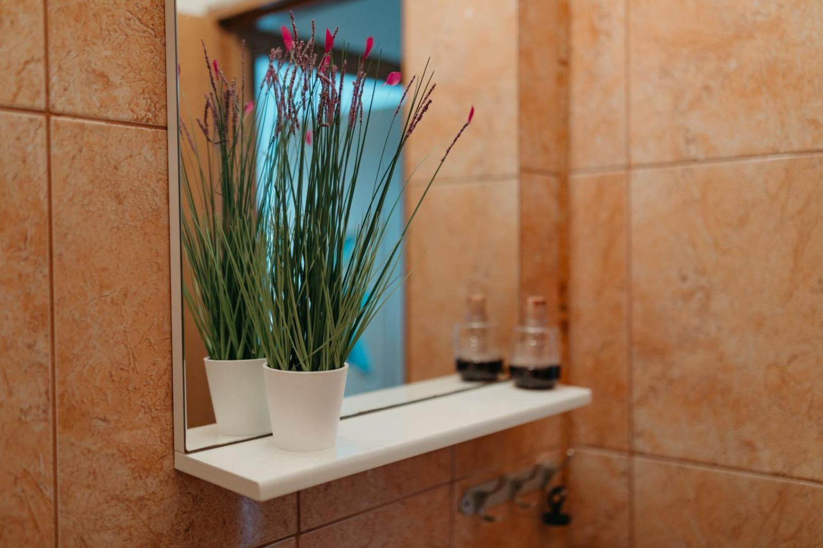 Flh - Apartament Mai Cu Aroma De Cafea Si Ceai Сибиу Екстериор снимка